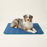 FrostNest Pad image 1