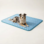 CoolNest Aura Mat image 1